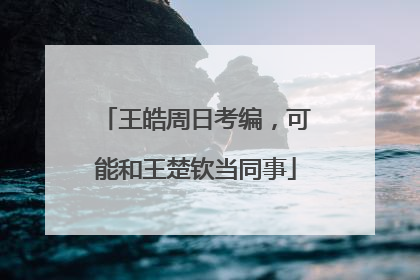 王皓周日考编，可能和王楚钦当同事