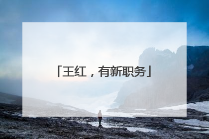 王红，有新职务