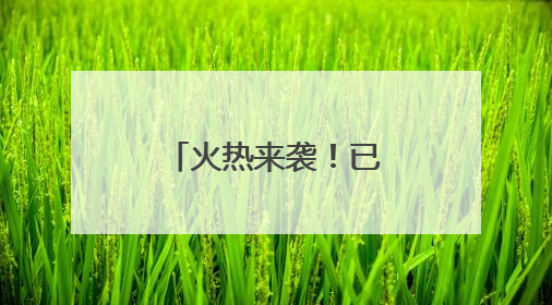 火热来袭！已有超40部影片锁定暑期档