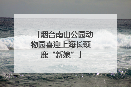 烟台南山公园动物园喜迎上海长颈鹿“新娘”