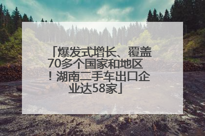 爆发式增长、覆盖70多个国家和地区！湖南二手车出口企业达58家