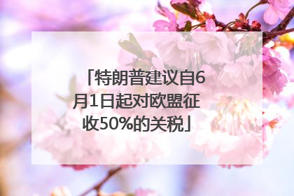 特朗普建议自6月1日起对欧盟征收50%的关税