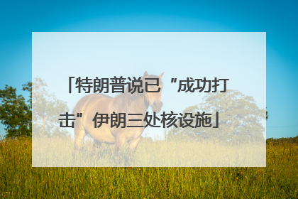 特朗普说已“成功打击”伊朗三处核设施