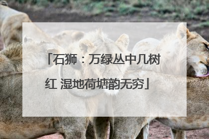 石狮：万绿丛中几树红 湿地荷塘韵无穷