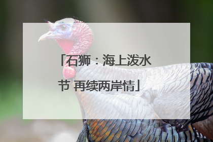 石狮：海上泼水节 再续两岸情