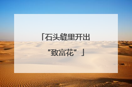 石头缝里开出“致富花”