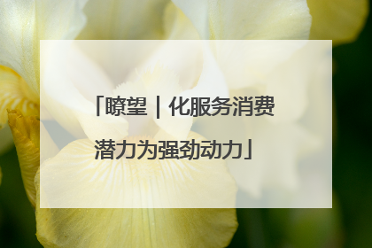 瞭望｜化服务消费潜力为强劲动力