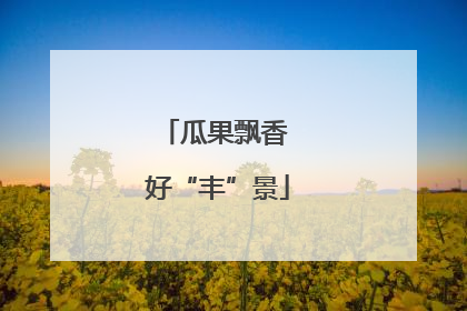 瓜果飘香 好“丰”景