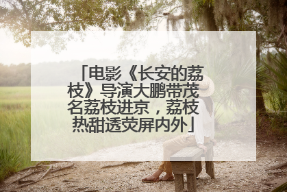 电影《长安的荔枝》导演大鹏带茂名荔枝进京，荔枝热甜透荧屏内外