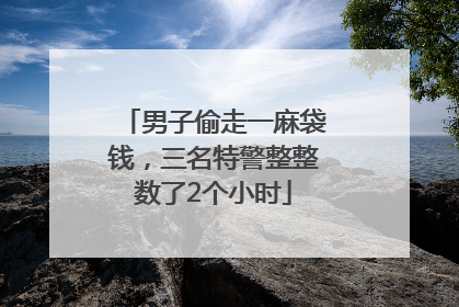 男子偷走一麻袋钱，三名特警整整数了2个小时