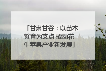甘肃甘谷：以苗木繁育为支点 撬动花牛苹果产业新发展