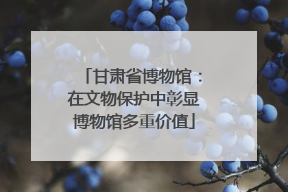 甘肃省博物馆：在文物保护中彰显博物馆多重价值
