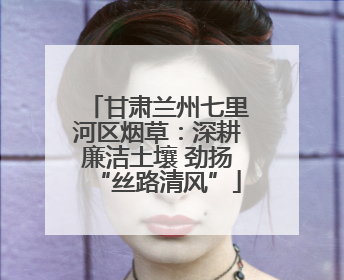 甘肃兰州七里河区烟草：深耕廉洁土壤 劲扬“丝路清风”