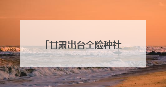 甘肃出台全险种社会保险经办规程
