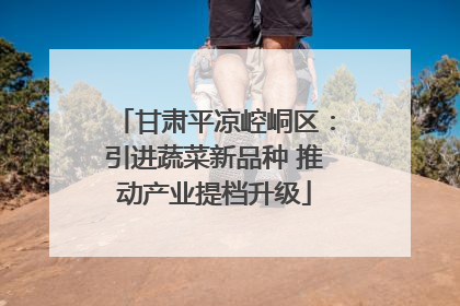 甘肃平凉崆峒区：引进蔬菜新品种 推动产业提档升级