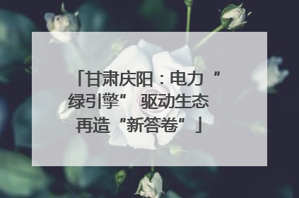 甘肃庆阳：电力“绿引擎” 驱动生态再造“新答卷”