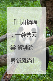 甘肃镇原：一袭剪云裳 解锁跨界新风尚