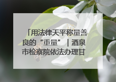 用法律天平称量善良的“重量”｜酒泉市检察院依法办理甘肃首例社区矫正对象见义勇为减刑案