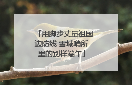 用脚步丈量祖国边防线 雪域哨所里的别样端午