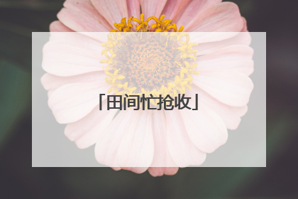 田间忙抢收