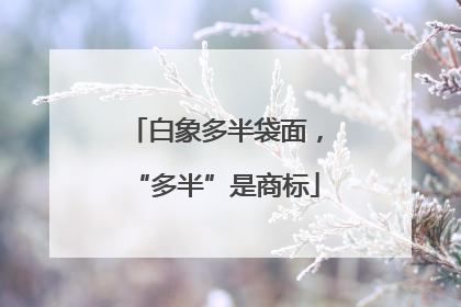 白象多半袋面，“多半”是商标