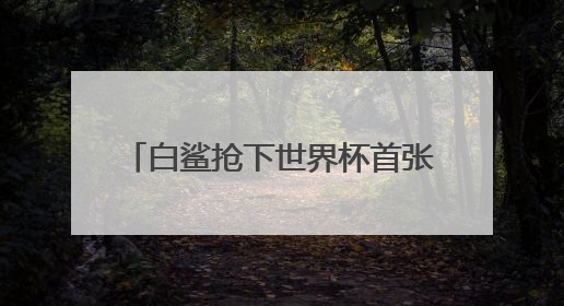 白鲨抢下世界杯首张入场券，透过ACL看CFPL的成色