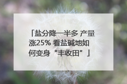 盐分降一半多 产量涨25% 看盐碱地如何变身“丰收田”