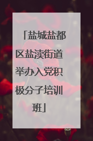 盐城盐都区盐渎街道举办入党积极分子培训班