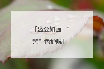 盛会如画 “警”色护航