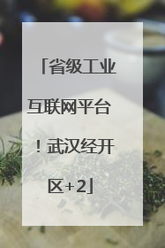 省级工业互联网平台！武汉经开区+2