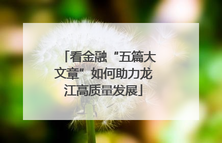看金融“五篇大文章”如何助力龙江高质量发展