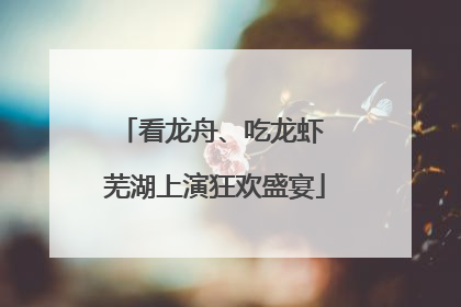 看龙舟、吃龙虾 芜湖上演狂欢盛宴