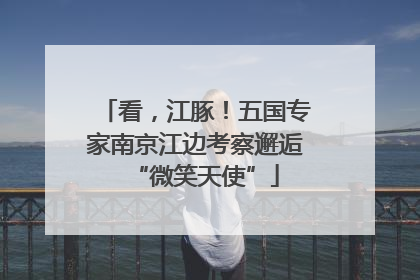 看，江豚！五国专家南京江边考察邂逅“微笑天使”