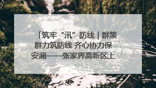 筑牢“汛”防线｜群策群力筑防线 齐心协力保安澜——张家界高新区上下众志成城迎战汛情