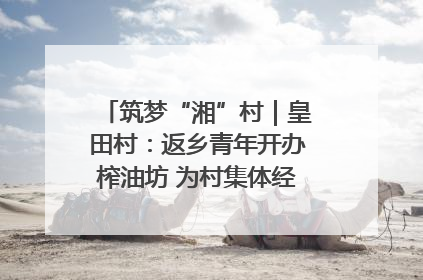 筑梦“湘”村｜皇田村：返乡青年开办榨油坊 为村集体经济“加油”