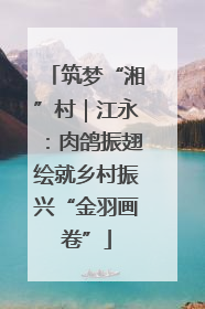 筑梦“湘”村｜江永：肉鸽振翅绘就乡村振兴“金羽画卷”