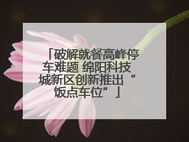 破解就餐高峰停车难题 绵阳科技城新区创新推出“饭点车位”