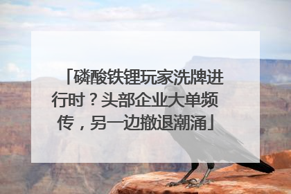 磷酸铁锂玩家洗牌进行时？头部企业大单频传，另一边撤退潮涌