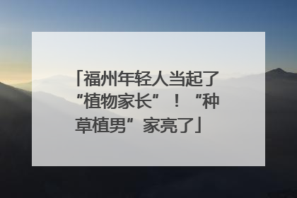 福州年轻人当起了“植物家长”！“种草植男”家亮了
