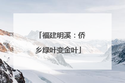 福建明溪：侨乡绿叶变金叶