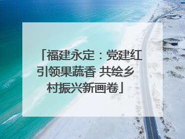 福建永定：党建红引领果蔬香 共绘乡村振兴新画卷