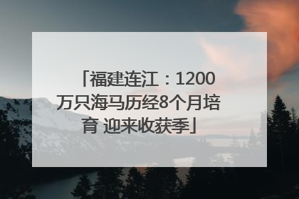福建连江：1200万只海马历经8个月培育 迎来收获季