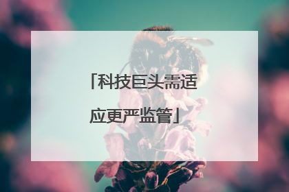 科技巨头需适应更严监管
