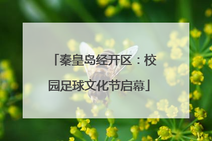 秦皇岛经开区：校园足球文化节启幕