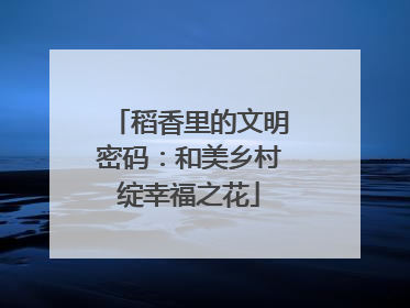 稻香里的文明密码：和美乡村绽幸福之花