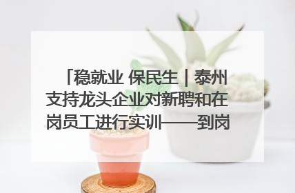 稳就业 保民生｜泰州支持龙头企业对新聘和在岗员工进行实训——到岗就能用 用了就见效