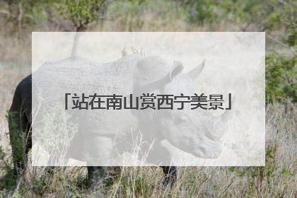 站在南山赏西宁美景