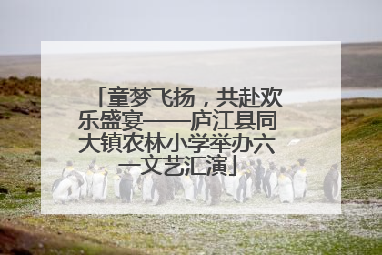 童梦飞扬，共赴欢乐盛宴——庐江县同大镇农林小学举办六一文艺汇演
