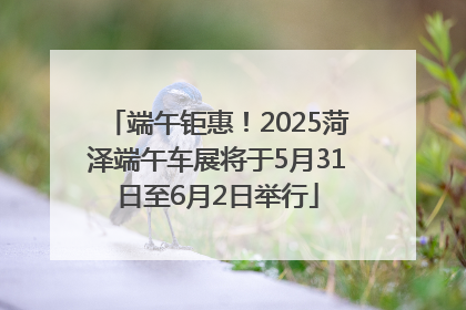 端午钜惠！2025菏泽端午车展将于5月31日至6月2日举行
