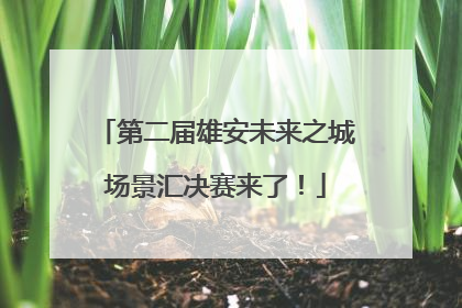 第二届雄安未来之城场景汇决赛来了！